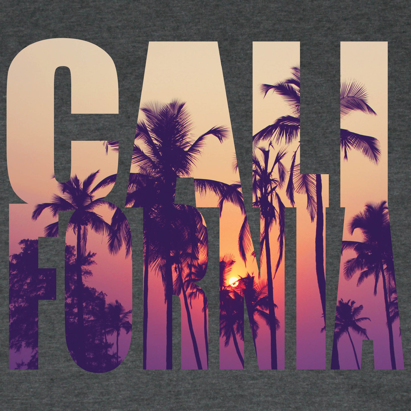 CALIFORNIA PHOTO LETTERS - LADIES V-NECK | CHARCOAL